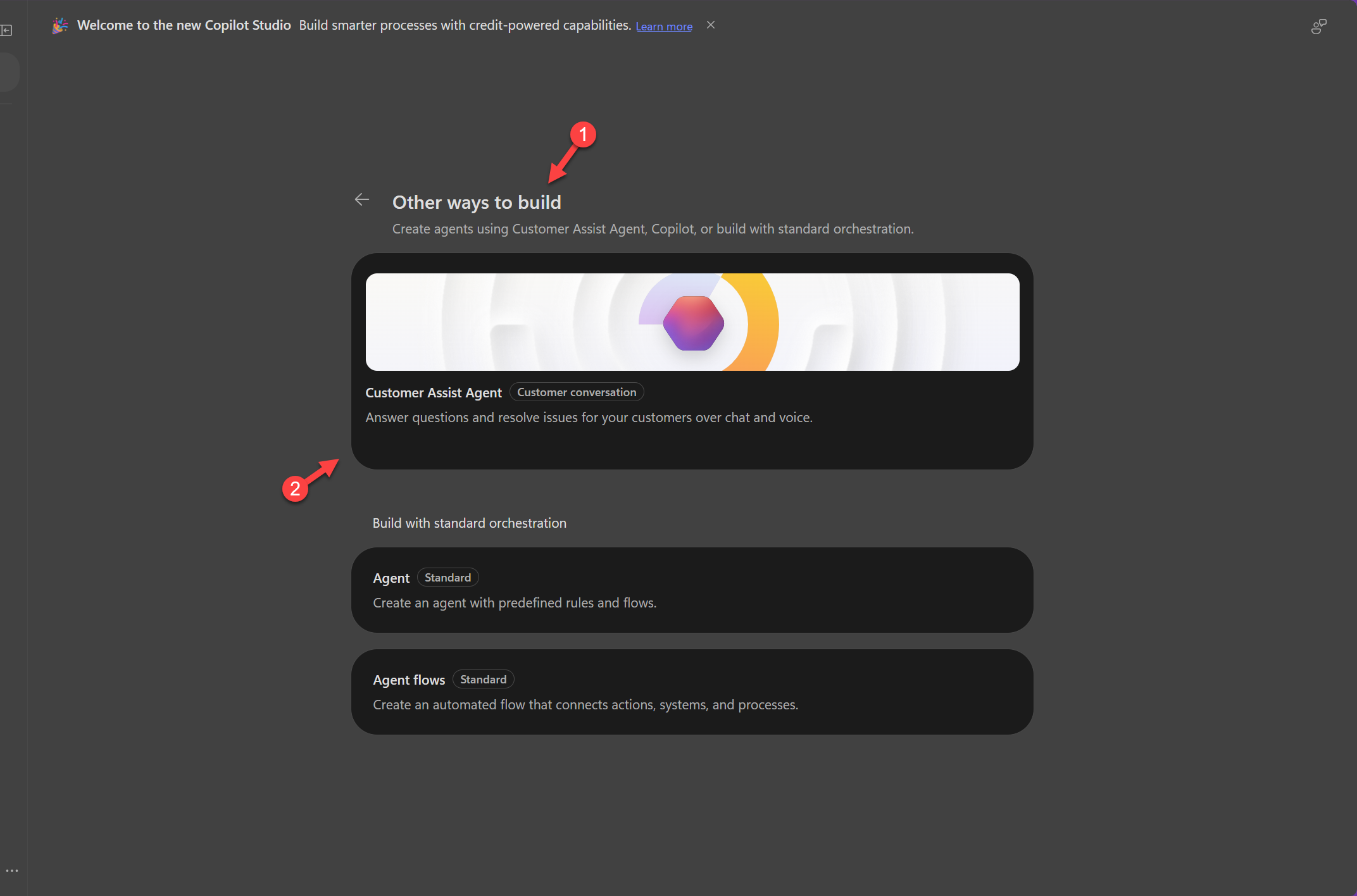 Customer conversation harness entry point in Microsoft Copilot Studio.